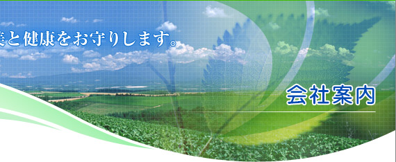 ヘルシーU